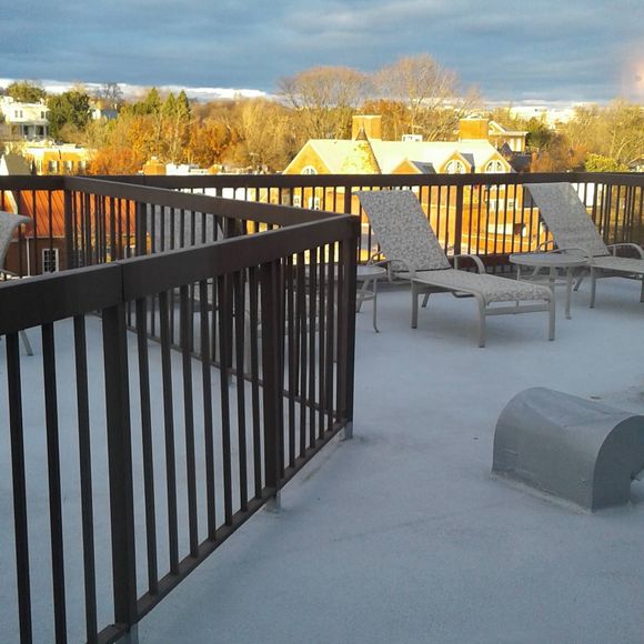 Meet your Posher, Reine - Picture 1 of 1